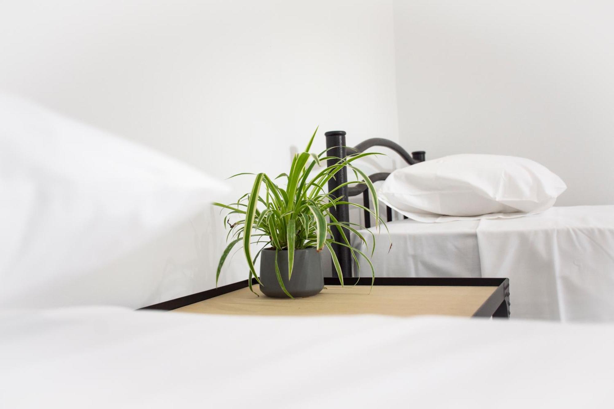 Christina Apartment Kíssamos Екстериор снимка